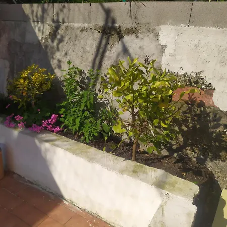 Canoa Quebrada Специя